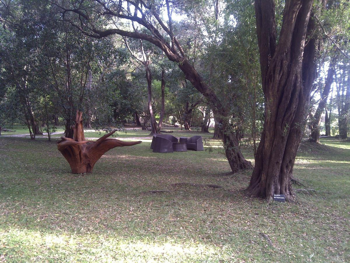 Mara River Camp Aitong Dış mekan fotoğraf