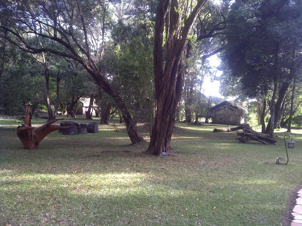 Mara River Camp Aitong Dış mekan fotoğraf